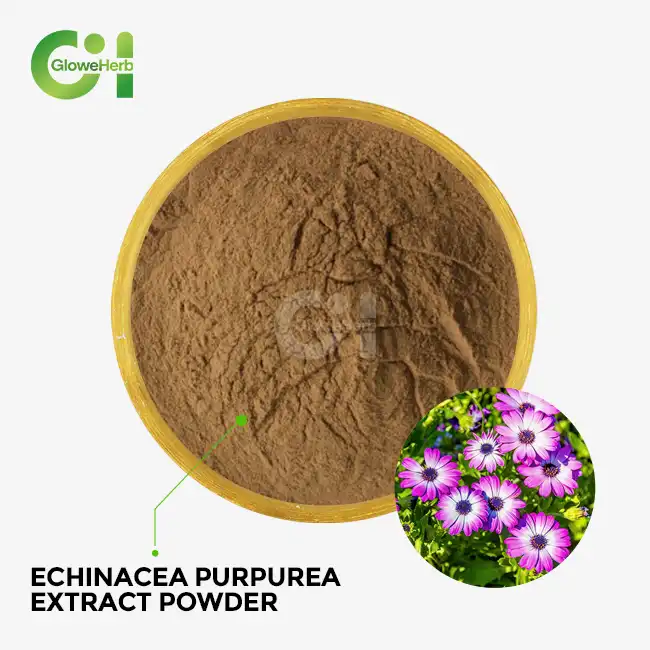 echinacea purpurea extract powder